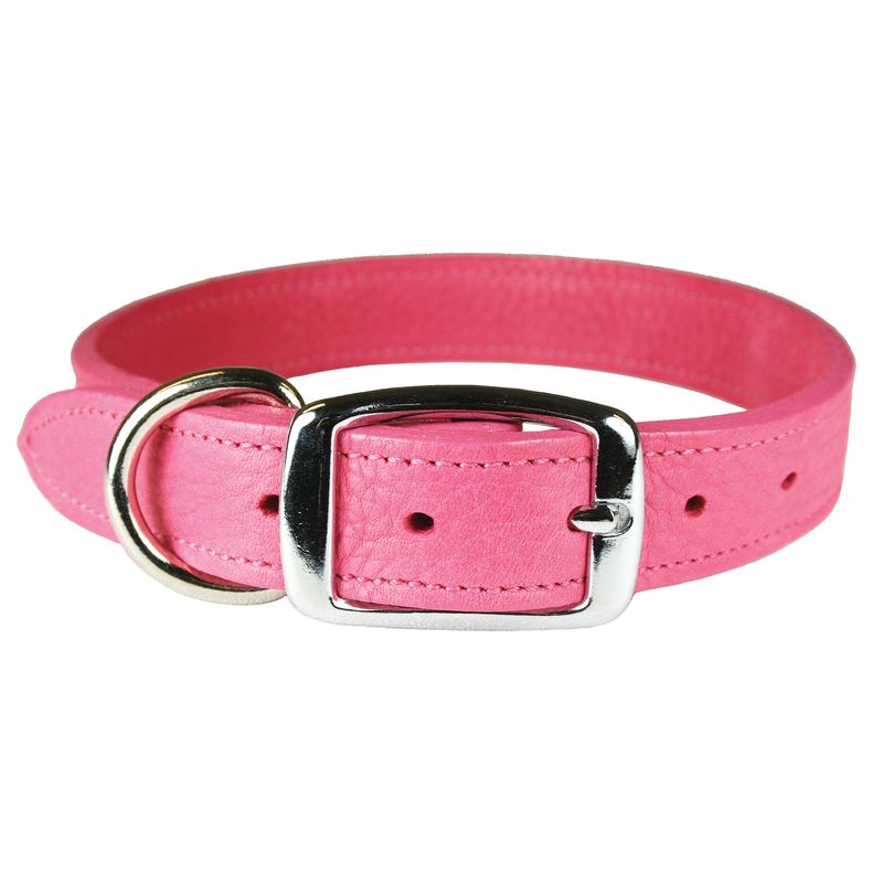 Luxe Leather Dog Collars with Nickel Plated Hardware Jeffers