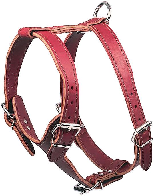 Latigo-Leather-Medium-Harnesses-Plain
