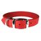 Luxe Leather Dog Collars, 16"-20"