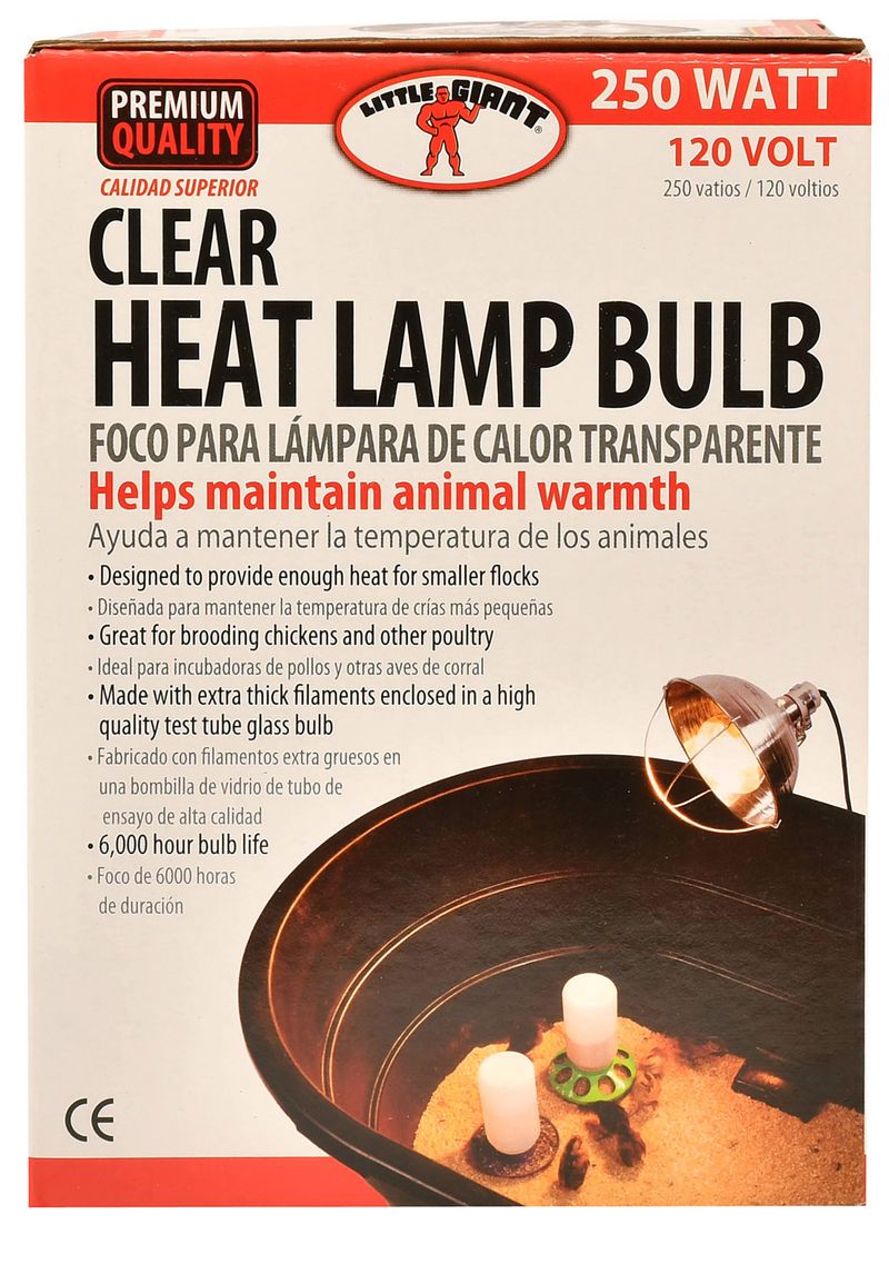 Clear Heat Lamp Bulb, 250 Watt Jeffers