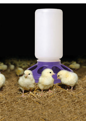 Farm-Tuff 3 Qt. Blue Plastic Poultry Feed Scoop