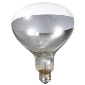 Clear Heat Lamp Bulb, 250 Watt