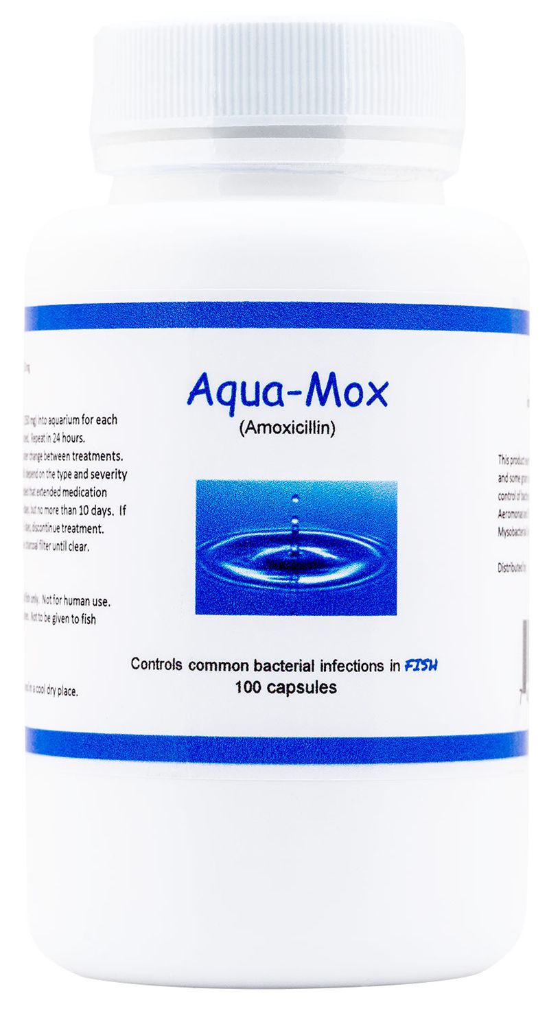 250-mg-Aqua-Mox-100-ct