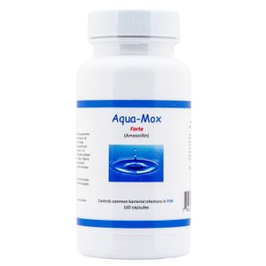 500 mg Aqua-Mox Forte, 100 ct