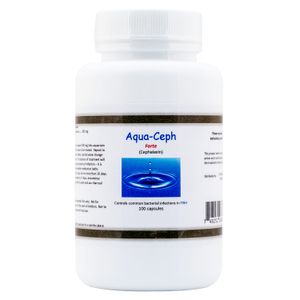 500 mg Aqua-Ceph Forte, 100 ct