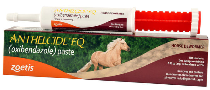 Anthelcide-EQ-Horse-Dewormer-Paste-1-dose