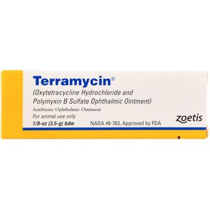 Terramycin Ophthalmic Eye Ointment
