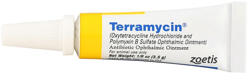 how do you give terramycin to a dog