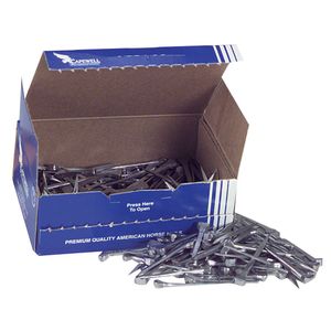 Size 5 Classic Head Nails, Box of 250