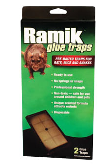 2 Glue Sticky Traps Rat Mice Snake Rodent Peanut Scent Disposable