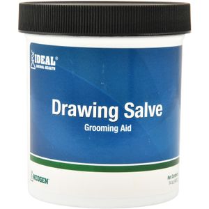 Drawing Salve, 14 oz