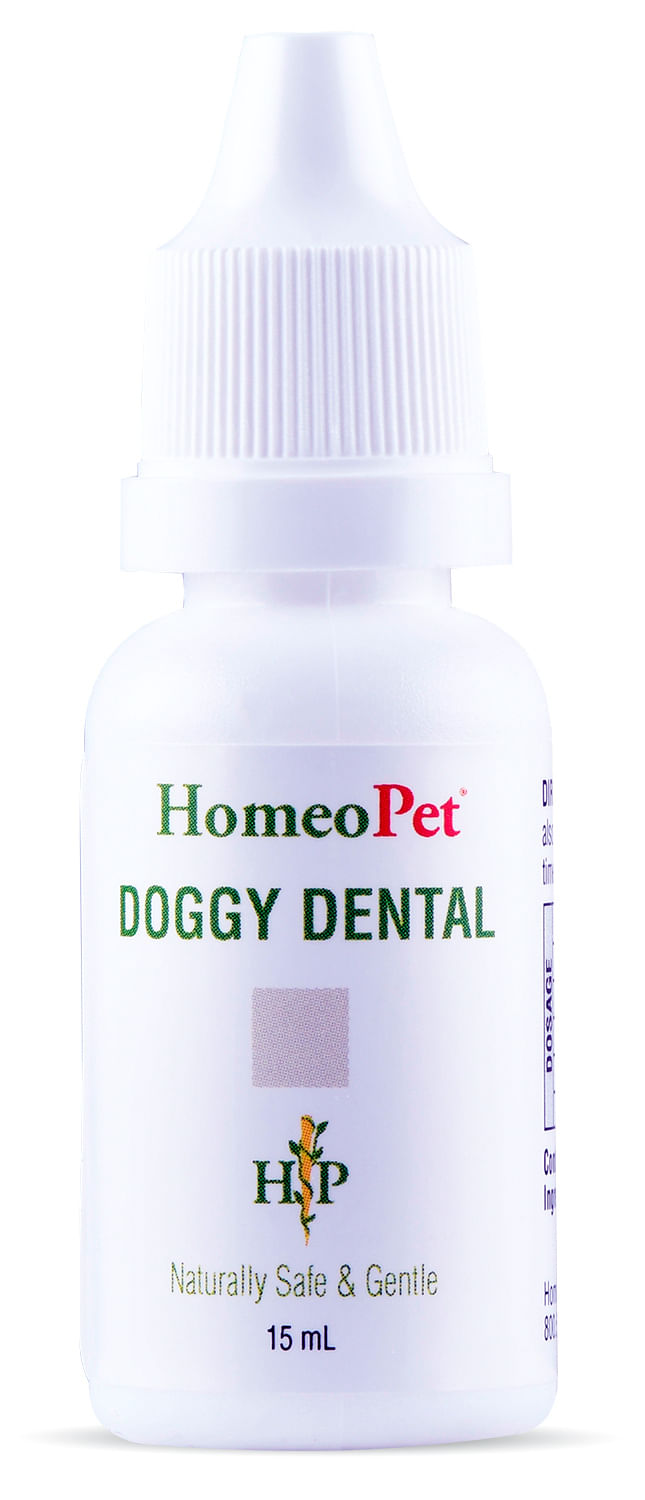 HomeoPet-Doggy-Dental
