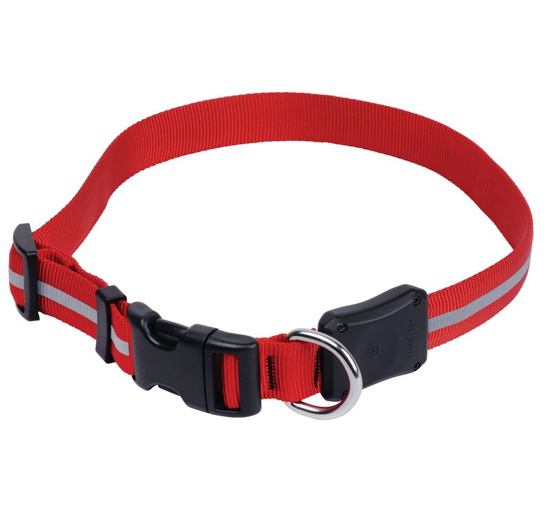 NiteDawg-LED-Dog-Collar