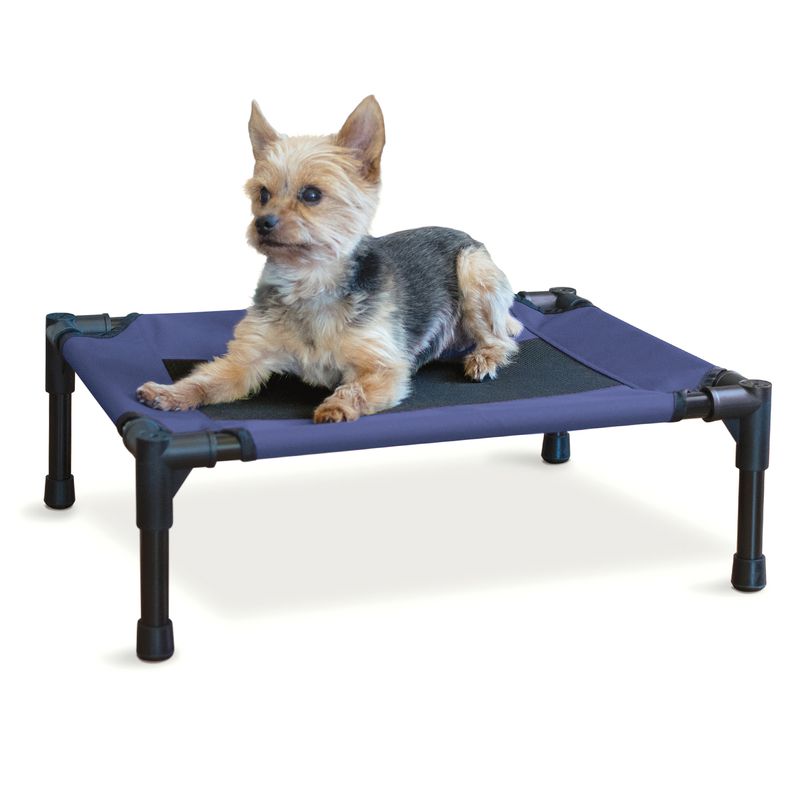 Elevated small 2024 dog bed