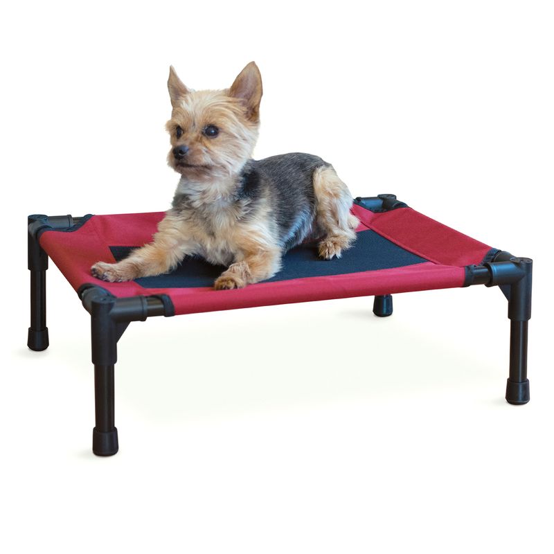 Elevated-Dog-Bed-Small