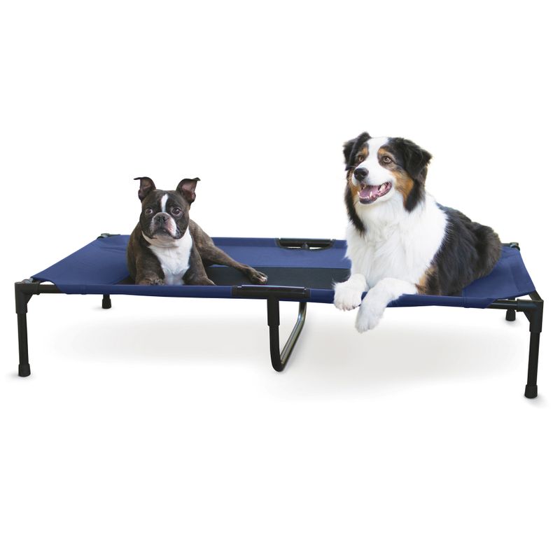 Elevated-Dog-Bed-X-Large