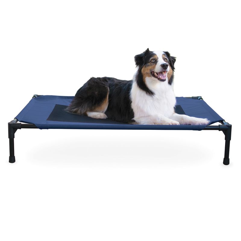 Raised pet beds for best sale large dogs