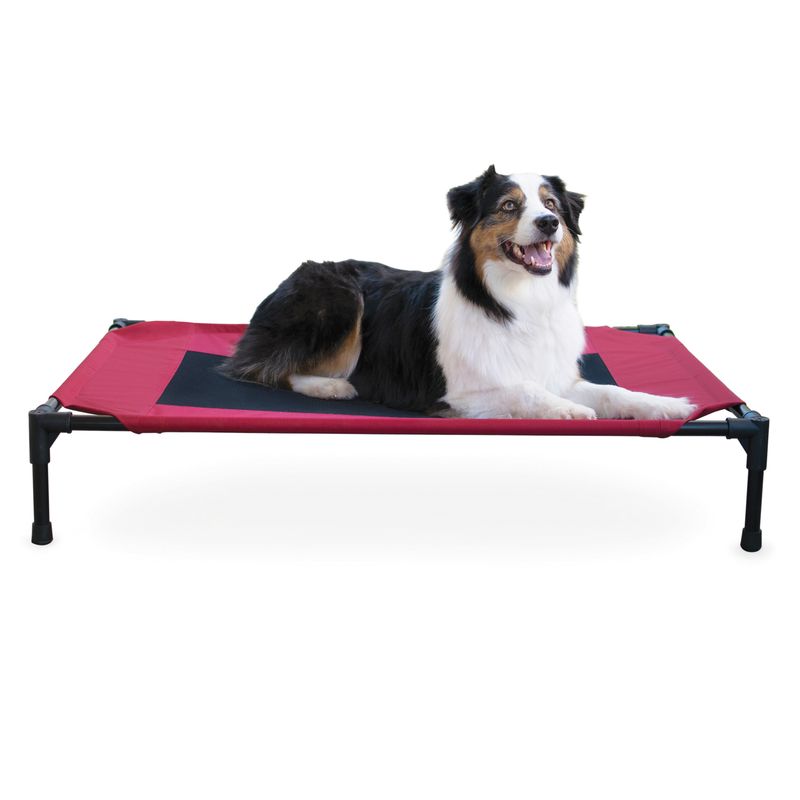 Elevated-Dog-Bed-Large
