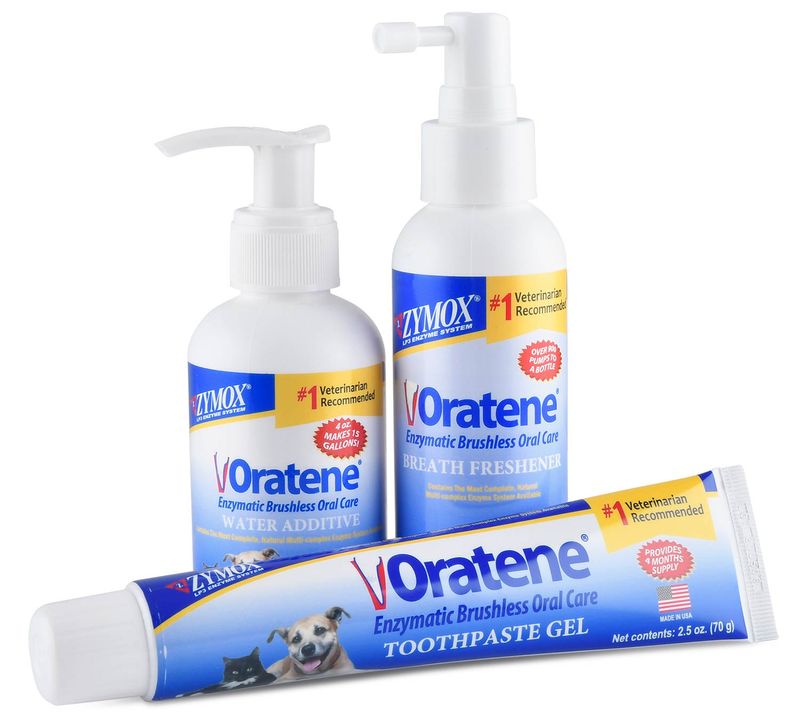 Oratene-Complete-Oral-Care-Kit