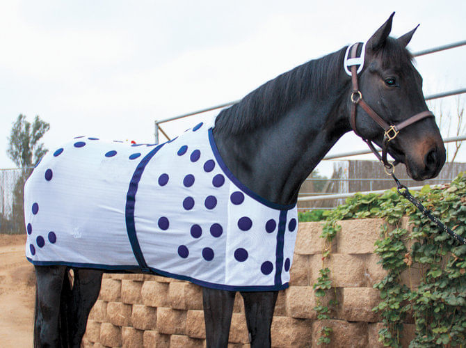 Professional Choice Horse Sheet Jeffers