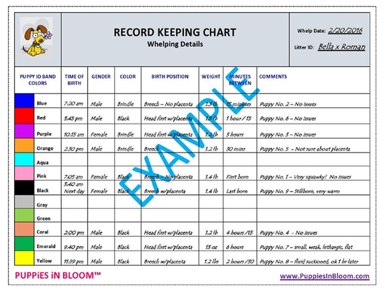 Puppies-in-Bloom-Breeder-Record-Keeping-Charts