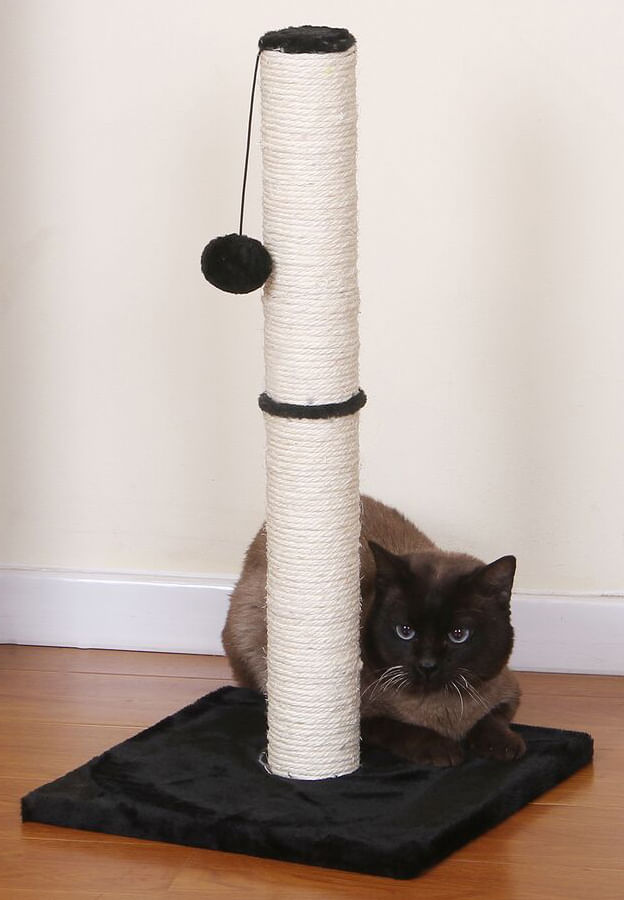 Stilt-Cat-Scratching-Post