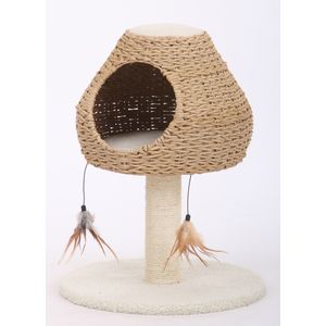 Cat House with Teasers