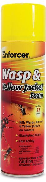 Enforcer-Wasp---Yellow-Jacket-Foam-16-oz