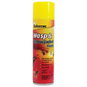 Enforcer Wasp & Yellow Jacket Foam, 16 oz
