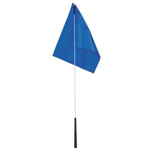 Flag Training Stick