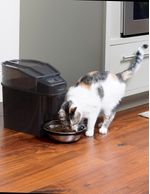 Healthy Pet Simply Feed Automatic Pet Feeder By PetSafe - Jeffers