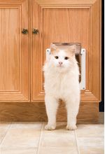 Cat-Flap-Pet-Door