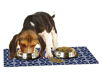 Drymate Pet Bowl Placemat, Dog Food Mat Or Cat Food Mat