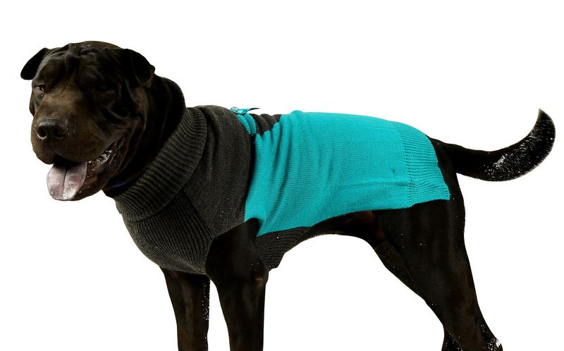 Love-U-Dog-Sweater