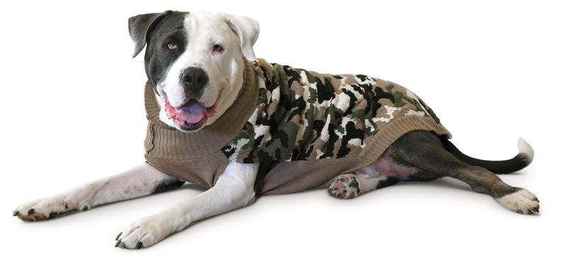 Camouflage-Dog-Sweater