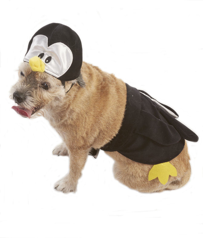 Penguin-Halloween-Dog-Costume