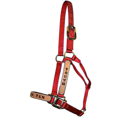 Personalized-Halters-for-Horses-Standard--800-1100-lb-