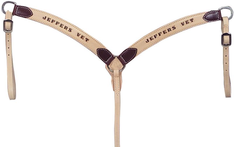 Personalized Leather Breast Collar for Horses Jeffers