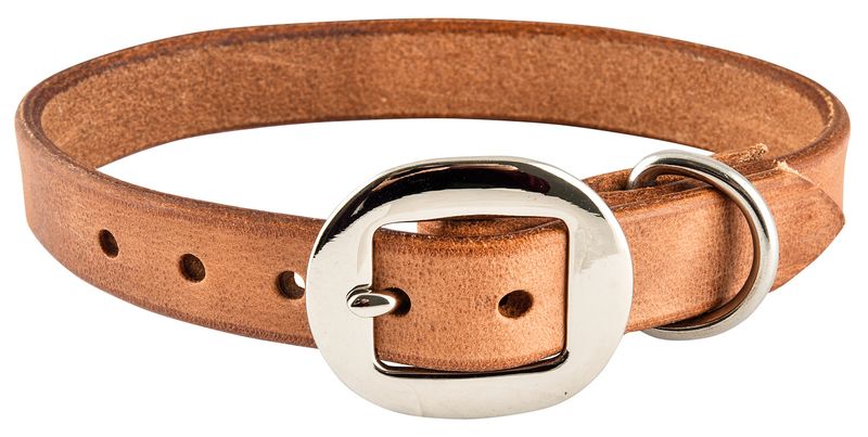 San-Saba-Harness-Dog-Collar