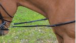 Avignon-Leather---Elastic-Side-Reins