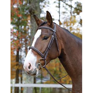 Shires Avignon Ocala Bridle, Havana