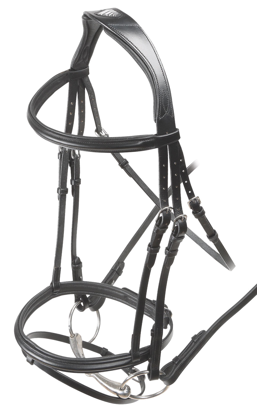 Velociti Padded Raised Flash Bridle - Jeffers