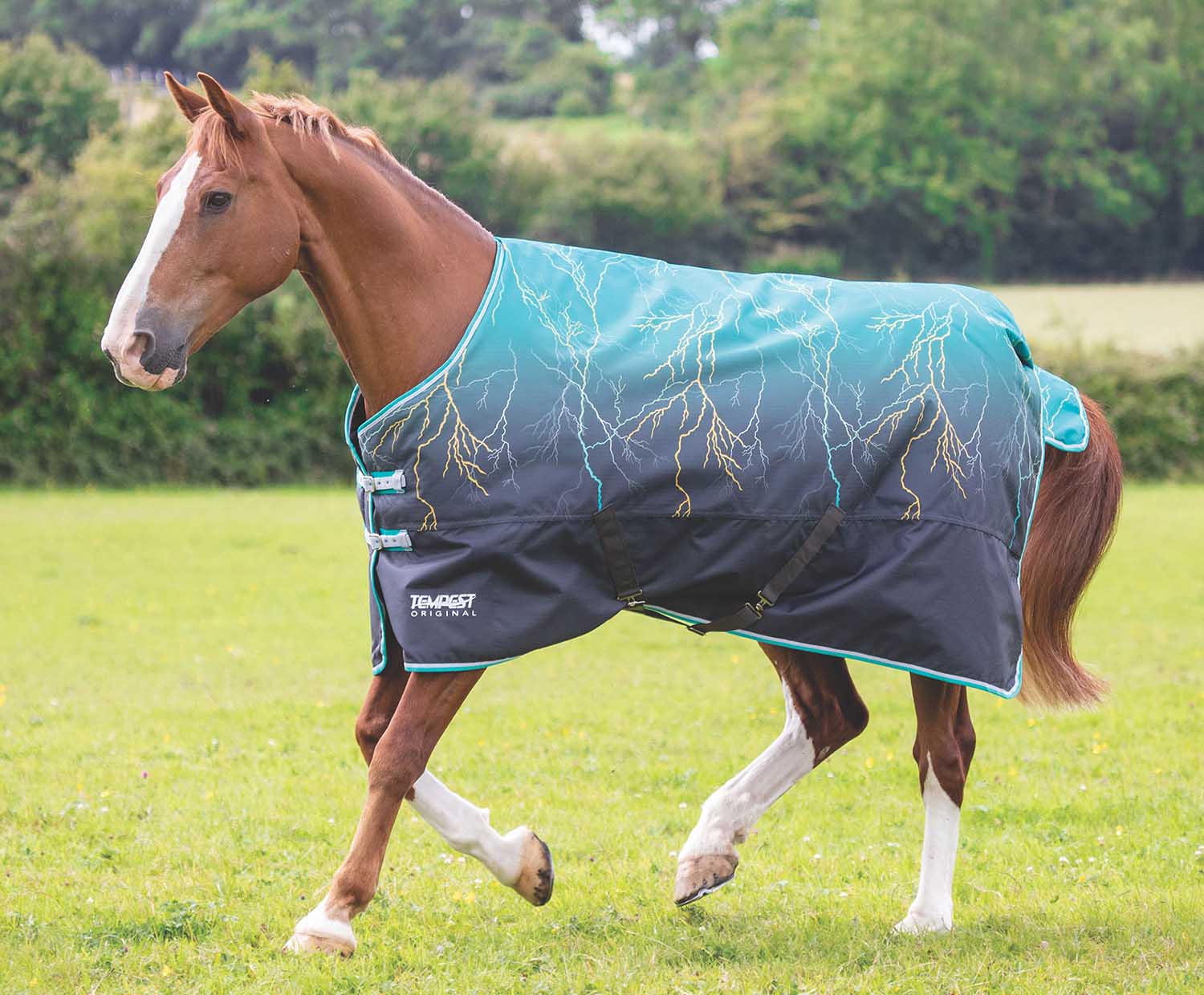 tempest-600d-teal-lightening-horse-blanket-200g-jeffers