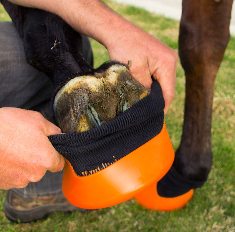 Tubbease hoof clearance boot