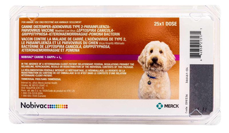 Nobivac-Canine-1-DAPPv-L4--9-way-shot-