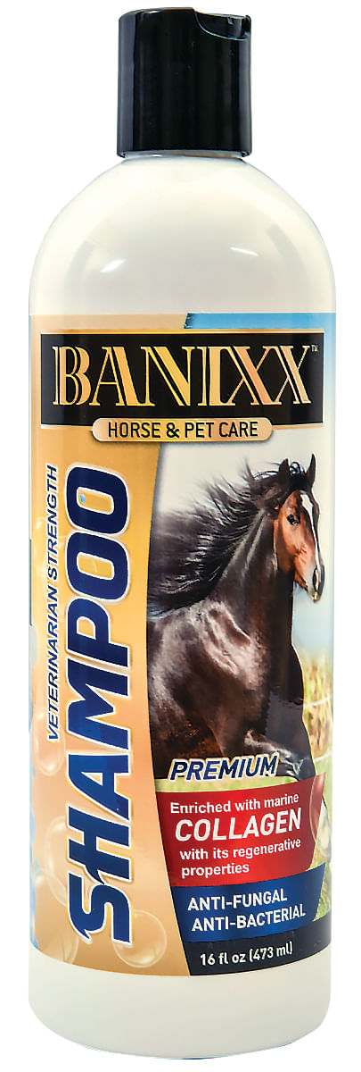 Banixx-Veterinary-Strength-Shampoo-16-oz