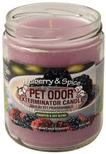 Pet-Odor-Exterminator-Candle-Mulberry---Spice