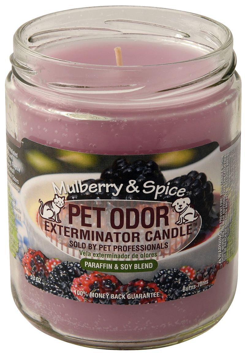 Pet odor outlet exterminator candle scents