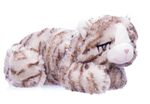 Snuggle-Kitty
