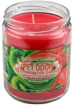 Pet-Odor-Exterminator-Candle-Kiwi-Twisted-Strawberry